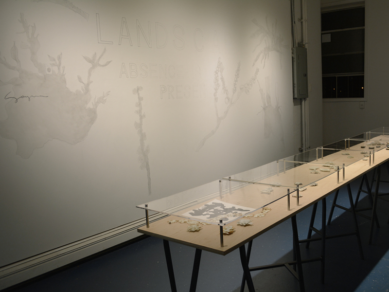 Exhibition view, Landscape: Absence is Present, Sayumi Yokouchi, 2015, photo: Kamal Nassif