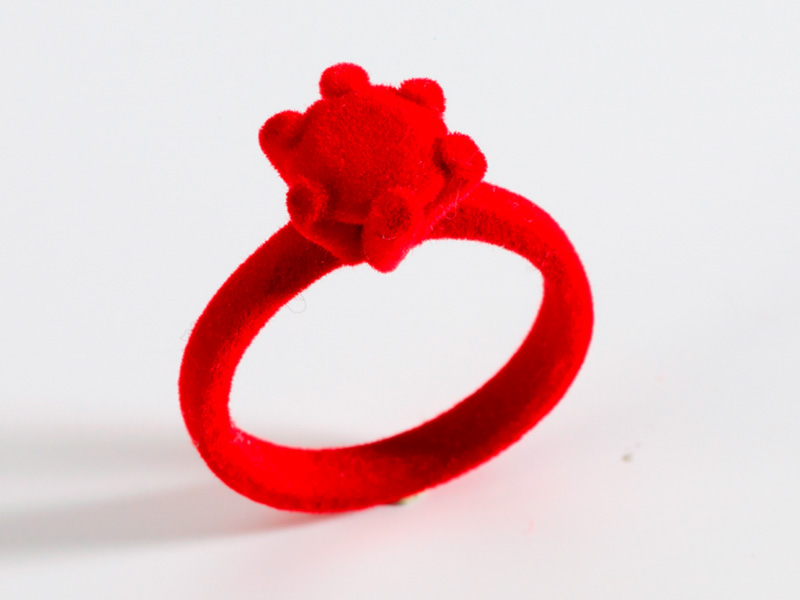 Bastard Collection: Ingrid Römmich and Veronika Schmidt, The Ritual of Love, 2011, ring, silver, zircon, red flocking, etui, 45 