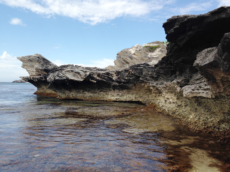 Rocks at a small cove on Rottnest Island, Western Australia, photo courtesy of Nancy Mēgan Corwin