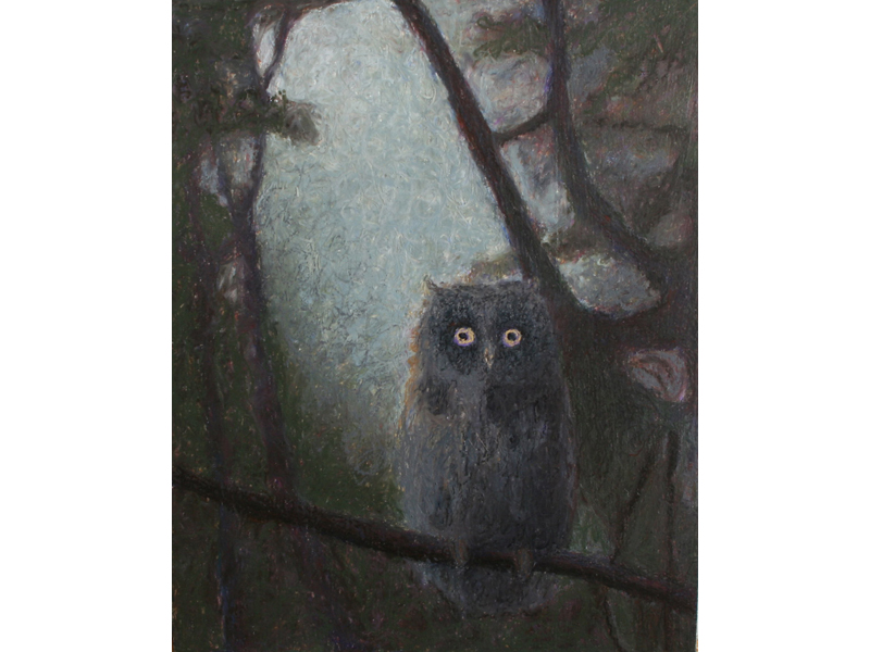 Kathleen Faulkner, Night Owl, 2016, painting, oil pastel, 25.4 x 20.3 cm, photo: artist