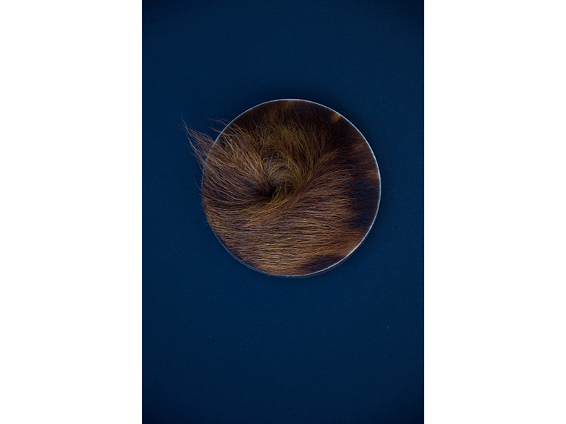 Lore Langendries, Cowlick, 2017, brooch, calf hide, saddle leather, magnets, 80 x 80 x 20 mm, photo courtesy of the artist