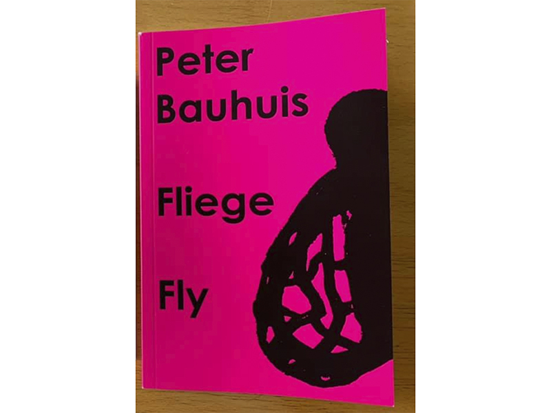 The cover of the book Peter Bauhuis: Fliege Fly