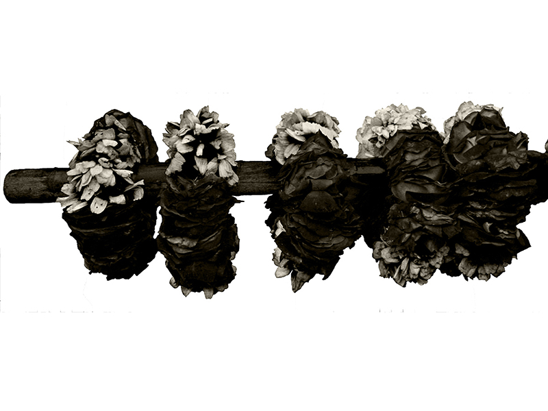 Farida Batool, Dark Gajre, 2010, digital print on archival paper (edition of seven), 81.3 x 111.8 cm