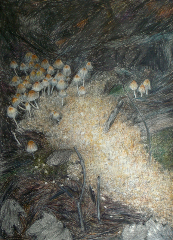 Mielle Harvey, Mushrooms in Sawdust, 2009, drawing, Arches paper, graphite, colored pencil, 610 x 813 mm, photo by artist Mielle Harvey, Mushrooms in Sawdust, 2009, drawing, Arches paper, graphite, colored pencil, 610 x 813 mm, photo by artist