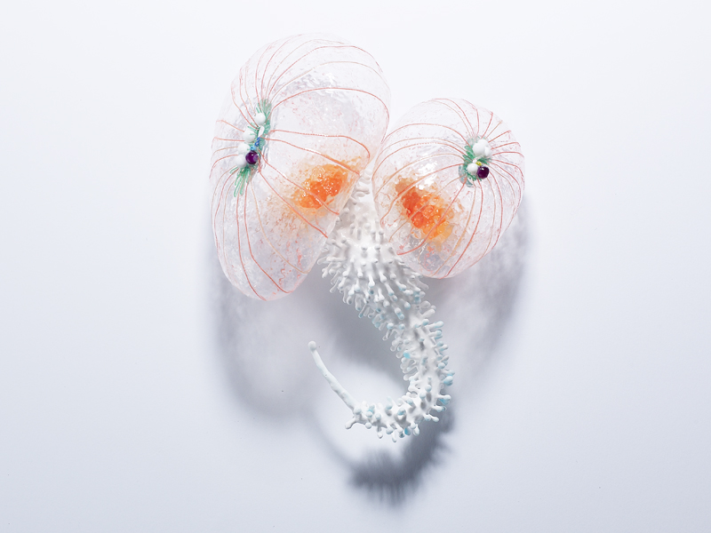 Seulgi Kwon, Puff, 2015, brooch, silicone, pigment, thread, stone, 165 x 120 x 65 mm, photo: Myoungwook Huh Seulgi Kwon, Puff, 2015, brooch, silicone, pigment, thread, stone, 165 x 120 x 65 mm, photo: Myoungwook Huh