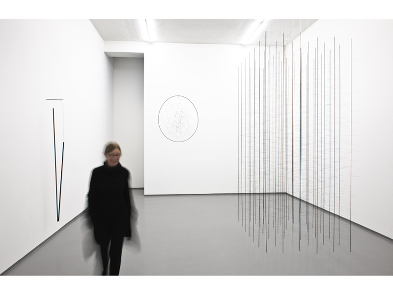 Tone Vigeland at her exhibition, New Works, Galleri Riis, 2010