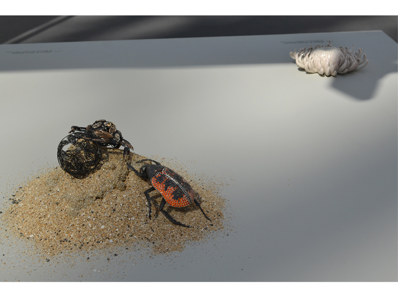 Exhibition view, magic language///game of whispers, 2015, work nº5 (foreground) is Scarab 1 by OrriFinn Jewels, work nº4 (background) is Krysantemum by Marianne Nielsen, photo: André Gali Exhibition view, magic language///game of whispers, 2015, work nº5 (foreground) is Scarab 1 by OrriFinn Jewels, work nº4 (background) is Krysantemum by Marianne Nielsen, photo: André Gali
