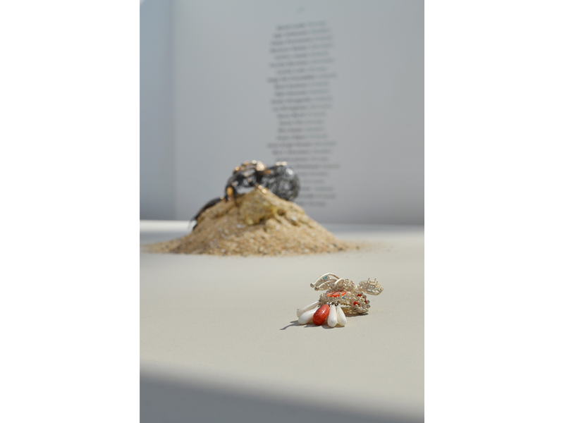 Exhibition view, magic language///game of whispers, 2015, work nº6 (foreground) is Flora Oblitus by Pernille Mouritzen, work nº5 (background) is Scarab 1 by OrriFinn Jewels, photo: André Gali Exhibition view, magic language///game of whispers, 2015, work nº6 (foreground) is Flora Oblitus by Pernille Mouritzen, work nº5 (background) is Scarab 1 by OrriFinn Jewels, photo: André Gali