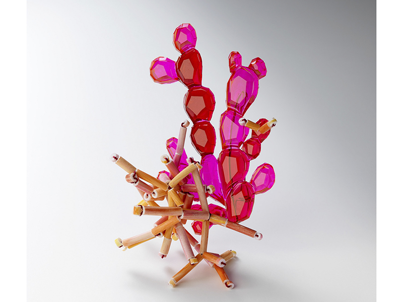 Kath Inglis, Griffithsia + Coraline Epiphytes