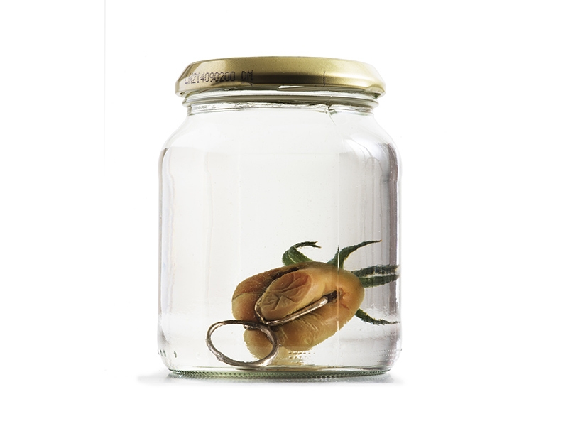Hilde De Decker, For the Farmer and the Market Gardener, 1999, object, silver, vegetable, conservation glass, photo: Guri Dahl Hilde De Decker, For the Farmer and the Market Gardener