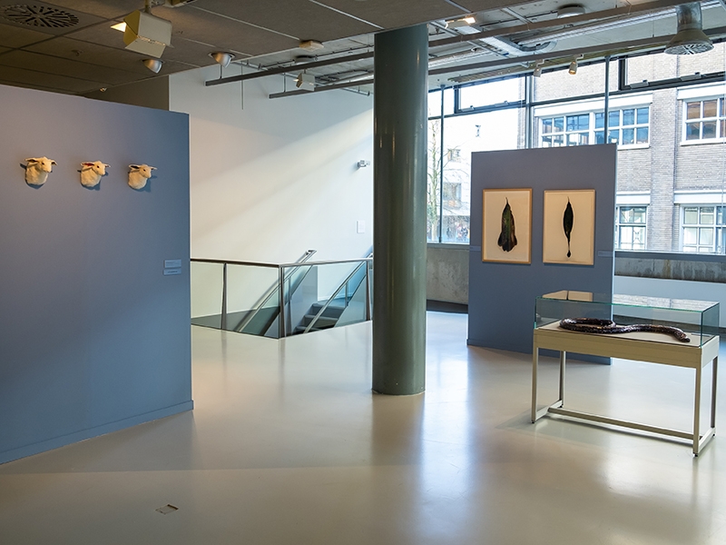 Exhibition view, Animalia, 2020