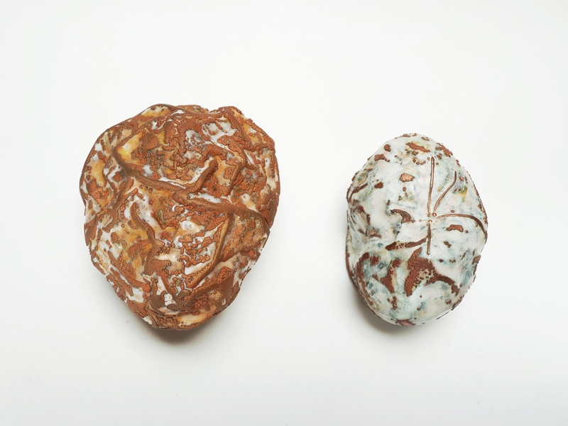 Deborah Lozier, New Growth 1 & 2, 2014, brooches, enamel on electroformed copper, copper, photo: artist Deborah Lozier, New Growth 1 & 2