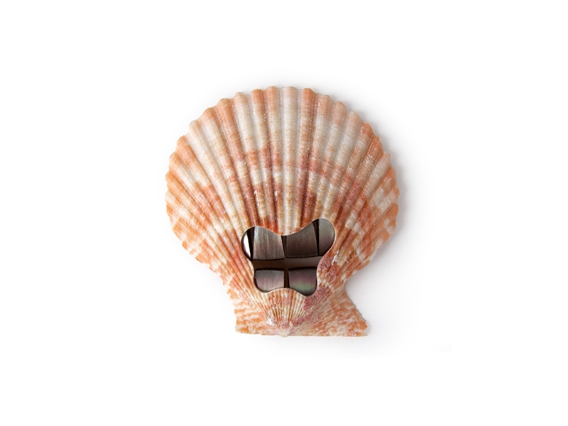 Benedikt Fischer, Pearly Whites, 2018, brooch, shell, mother-of-pearl, Remanium, Sculpey, 65 x 70 x 7 mm, photo: artist Benedikt Fischer, Pearly Whites