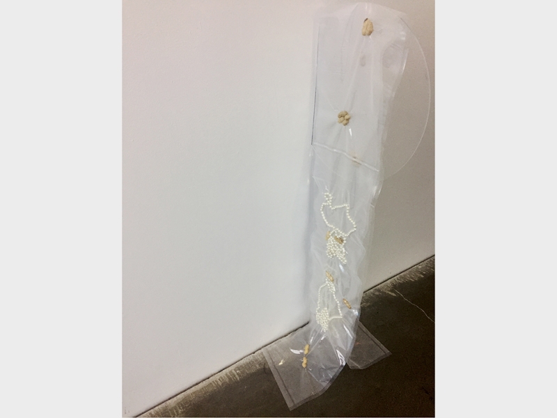 Anicka Yi, I’m Every Woman I Ever Met, 2011, Plexiglas, vacuum-sealed peanuts, pearls, 144.8 x 38.1 x 55.9 cm, photo: Everett Hoffman Anicka Yi, I’m Every Woman I Ever Met