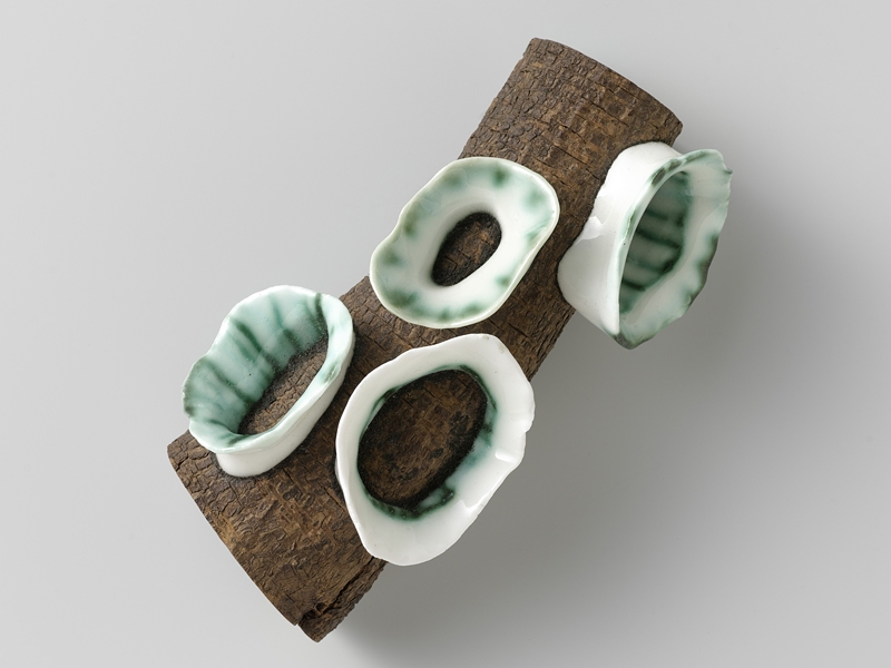 Terhi Tolvanen (born 1968), Fungus, 2007, silver, porcelain, wood, paint, 65 x 130 x 50 mm, Rijksmuseum, Amsterdam, Gift of Marjan and Gerard Unger, Bussum 2009, copyright Terhi Tolvanen, photo: Rijksmuseum staff Terhi Tolvanen, Fungus