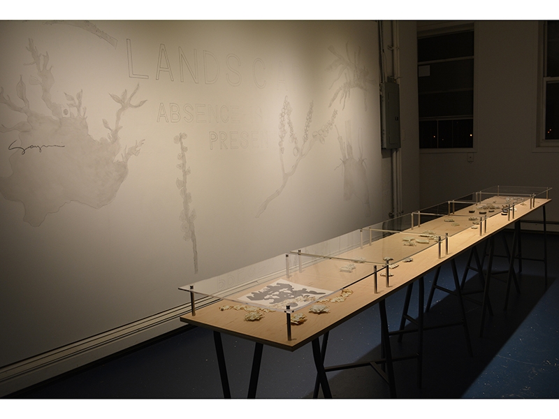 Installation view, Sayumi Yokouchi, "Landscape—Absence Is Present," Brooklyn Metal Works, 2015, photo Kamal Nassif, courtesy BKMW Installation view, Sayumi Yokouchi, "Landscape—Absence Is Present"