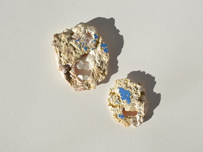 Benedikt Fischer, Pearly Whites, 2019, brooches, found shell, paint, photo courtesy of the artist Benedikt Fischer, Pearly Whites, 2019