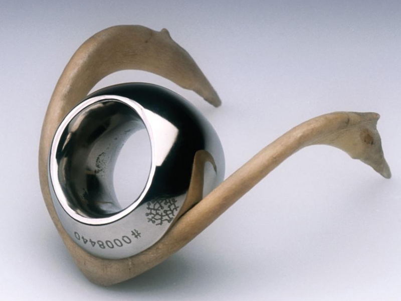 Christoph Zellweger, Foreign Bodies, 2003, medical steel, photo courtesy of Katia Rabey Christoph Zellweger, Foreign Bodies