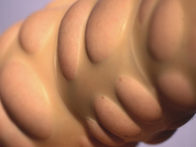 Sissi Westerberg, Flesh, 2000–2002, wearable rubber, photo in collaboration with Jan Ericsson Sissi Westerberg, Flesh