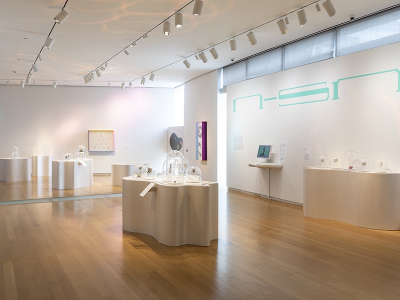 Installation view, Non-Stick Nostalgia, 2019, Museum of Arts and Design, New York, photo: Jenna Bascom, courtesy the Museum of Arts and Design Installation view, Non-Stick Nostalgia