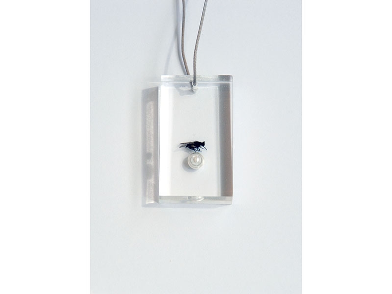 Ted Noten, Untitled, pendant, pearl, fly, acrylic, collection CODA Museum Apeldoorn, the Netherlands, donation Stichting Altena Boswinkel Collectie, featured in Animalia, 2020, CODA Museum, photo: CODA Museum Ted Noten, Untitled