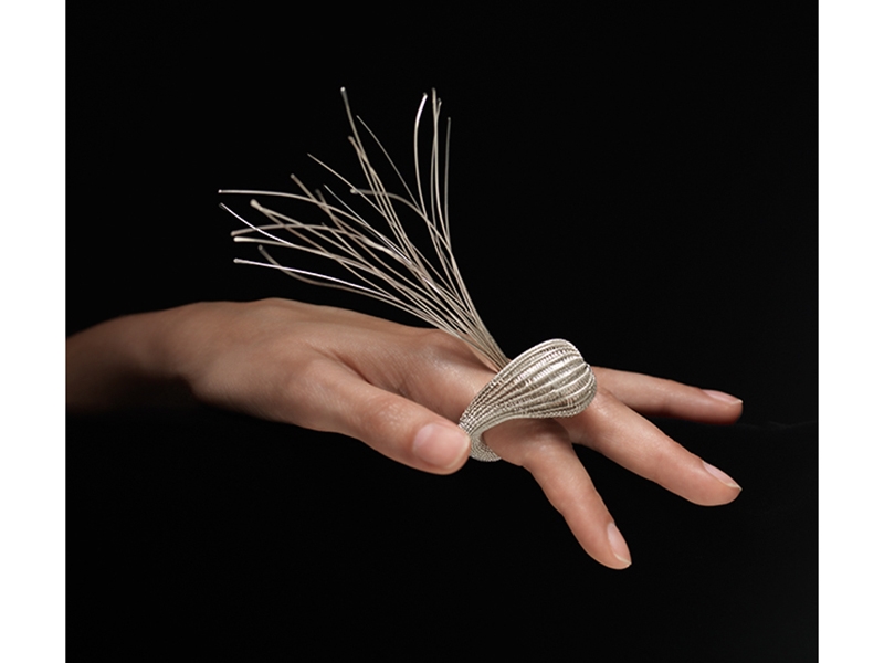 Jane Bowden, Woven Ring, 2008, photo: Grant Hancock Jane Bowden, Woven Ring