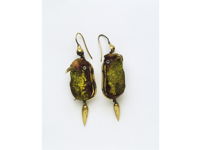 Pair of earrings featured in the Fashioned from Nature exhibition