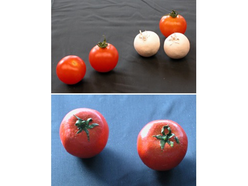 Conservators molded the artificial tomato out of clay