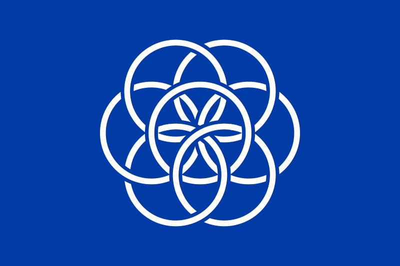 international flag