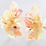 Yuka Saito, Spiced Flowers-Dancing