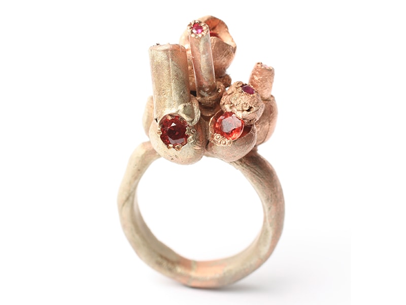 Karl Fritsch, Ring