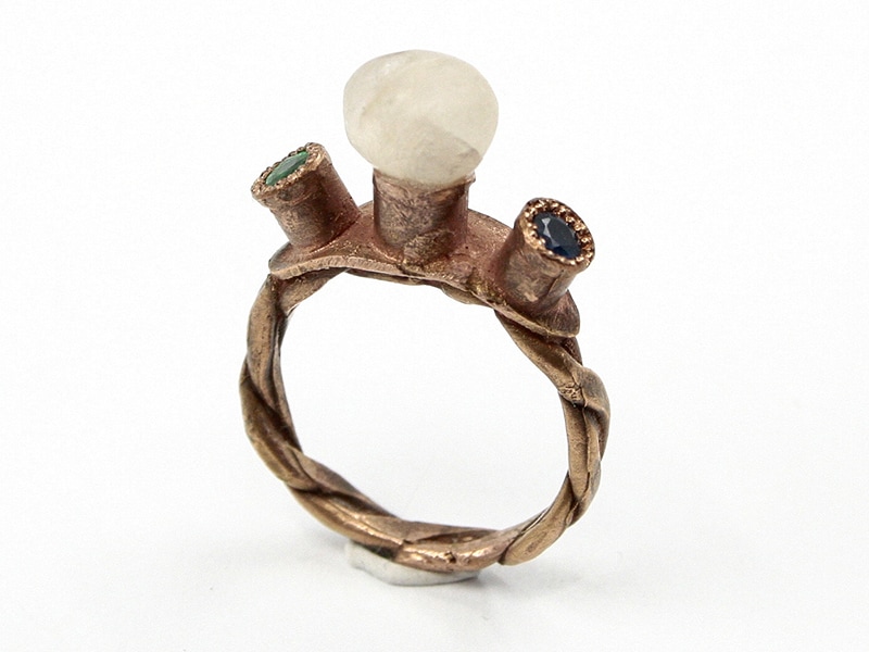 Karl Fritsch, Ring