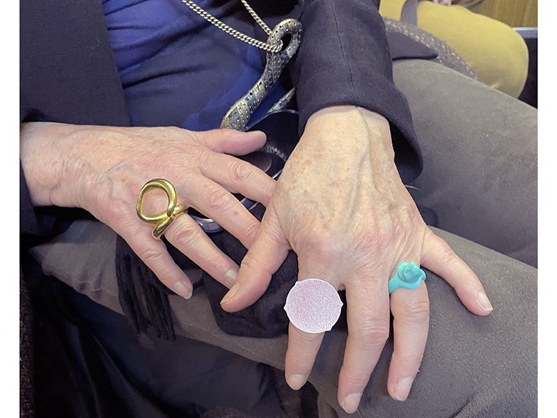 Liesbeth den Besten's hand with several rings