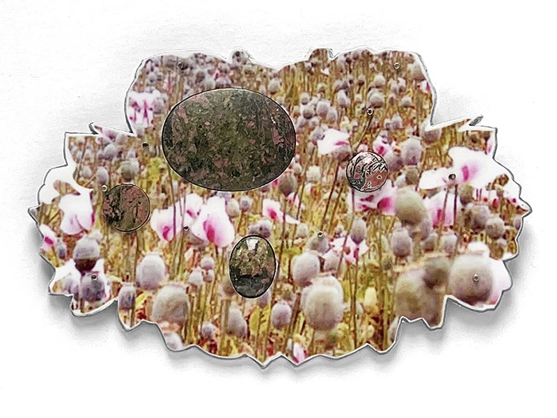Sondra Sherman, Corsage Poppy, 60mg Healing Stones, 2023, brooch in aluminum digital print, silver, unakite, 4 ½ x 4 ½ x ½ inches (120 x 80 x 10 mm), photo; artist