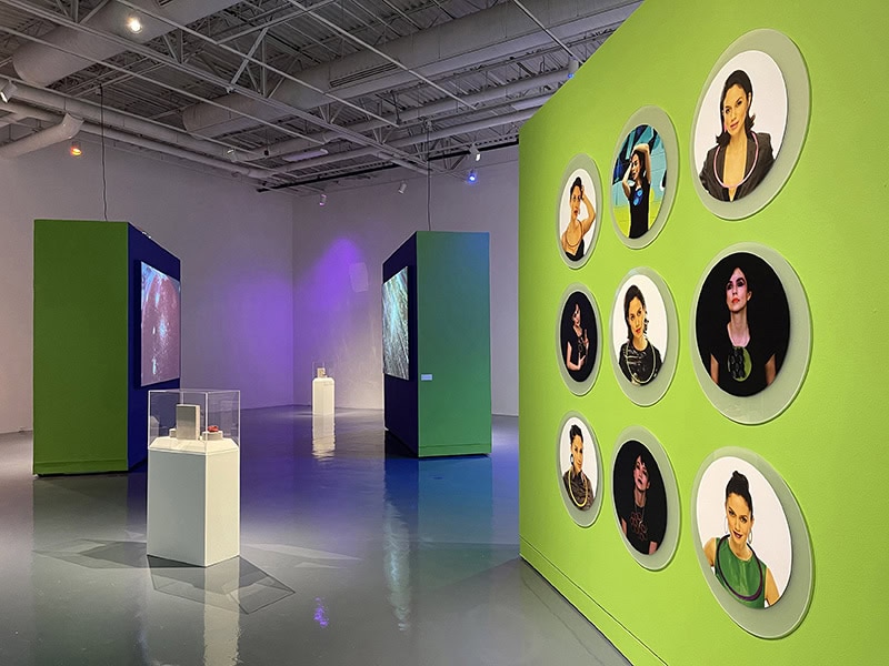 Exhibition view, Paint: Rachelle Thiewes, 2025, El Paso Museum of Art, El Paso, TX, US, photo: Asher Emerson