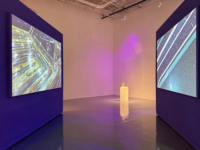 Exhibition view, Paint: Rachelle Thiewes, Video Conversation, 2025, El Paso Museum of Art, El Paso, TX, US, photo: Kate Wagle