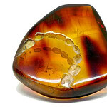 This piece took first place in the 2019 Amberif Design Award. ||| Alberto Dávila Now, It Is an Old Attachment, mouth piece in Mexican amber, 6.5 x 8 x 3.5 cm, photo: artist