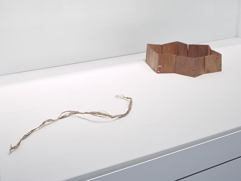 Exhibition view, The Jewelry of Dorothea Prühl, Museum of Fine Arts, Houston, September 6, 2025–January 3, 2026, photo: © The Museum of Fine Arts, Houston, Chad Redmon, photographer