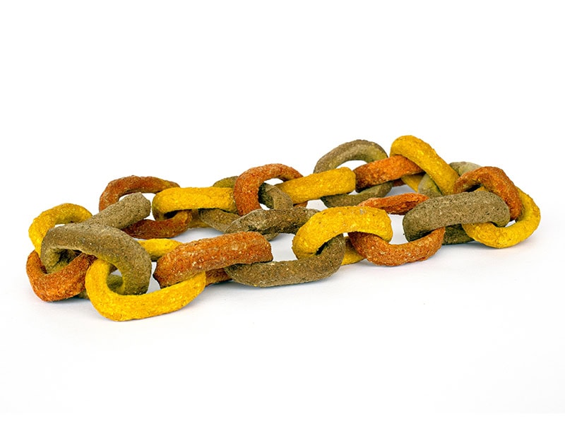 Anvita Jain, Spice Chain, 2025, necklace in spices (turmeric, chili, garam masala), binder, photo: Krystof Kriz