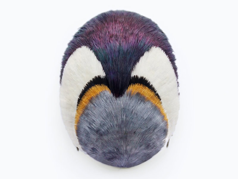 Marion Delarue, Parrot Devotee 6, 2018, brooch in natural feathers from turkeys, pigeons, pheasants, and hens, rice paper pulp, silver, steel wire, photo: © Marion Delarue