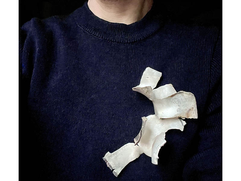 Nicolas Christol, CTS7290M, 2026, silver blown with black powder, gold pins, photo: N. Christol